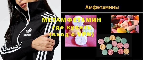 сатива Аша