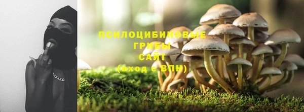 сатива Майский