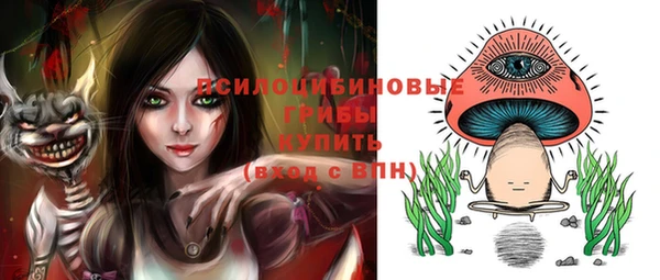 сатива Майский