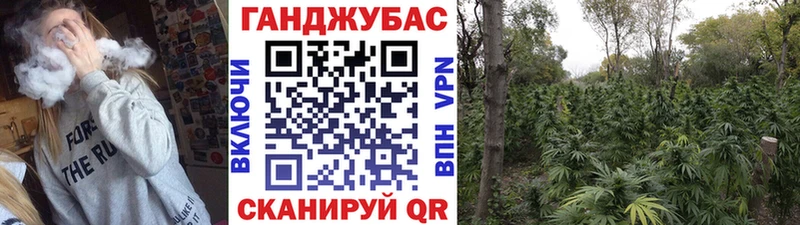 МАРИХУАНА Ganja  OMG сайт  Новоузенск 